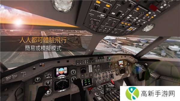 航空公司指挥官